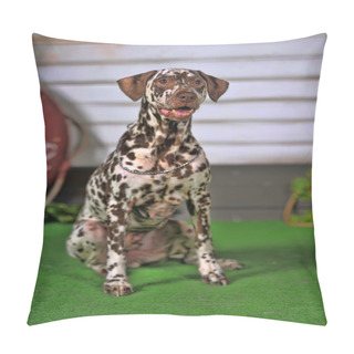 Personality  Portrait Of A Cute Little Dalmatian Dog In Close-up. Pillow Covers