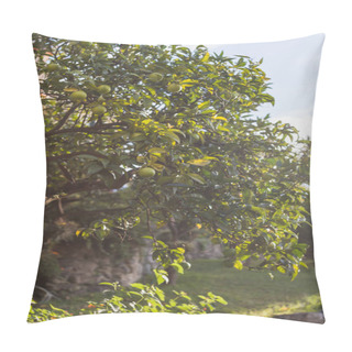 Personality  Lime Tree Pillow Covers