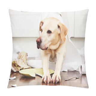 Personality  Naughty Dog In The Kitchen Pillow Covers
