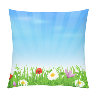 Personality  Sunburst Background With Flower And Grass Pillow Covers