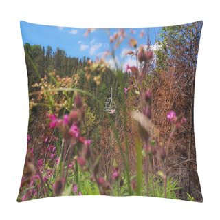 Personality  View Through Wild Flowers And Grass Over Chair Lift Seats Moving Up The Carpathian Trostyan Mountain Through The Wild Forest With Fir And Pine Trees. Blue Sky With White Clouds. Pillow Covers