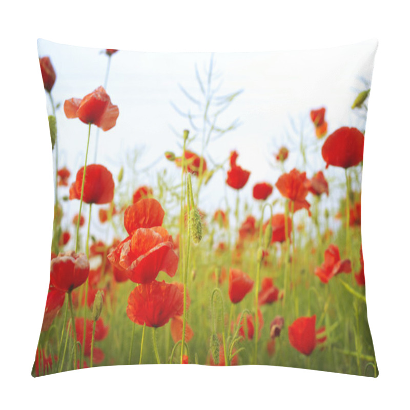 Personality  Red poppies pillow covers