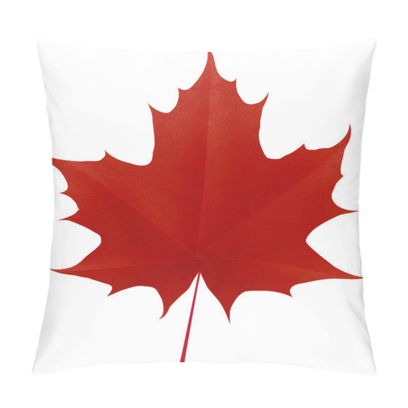 Personality  Realistic Red Maple Leaf Isolated On White Background Pillow Covers