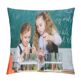 Personality  Chemical Analysis And Observing Reaction. School Equipment For Laboratory. Girls On School Chemistry Lesson. School Laboratory Partners. Kids Busy With Experiment. Test Tubes With Colorful Substances Pillow Covers