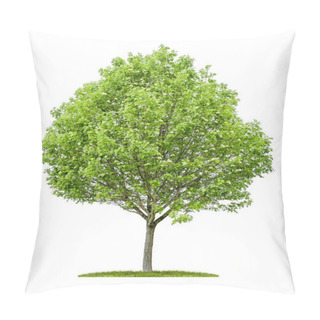 Personality  An Isolated Service Tree With Fruits On A White Background Pillow Covers