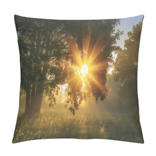 Personality  Summer Landscape Of Green Nature On Morning Meadow With Shining Grass And Bright Sunbeams Through Branches Of Tree. Vivid Sunlight In Amazing Park. Pillow Covers