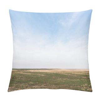 Personality  Grassy Lawn Near Field Against Blue Sky With Clouds Pillow Covers