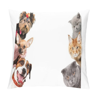 Personality  Adorable Six Dogs And Cats Isolated On White Background Pillow Covers