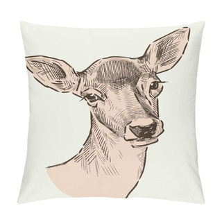 Personality  Portrait Of A Roe Deer Pillow Covers