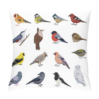 Personality  Collection Of Realistic Winter Birds. Detailed Illustrations. Pillow Covers