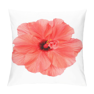 Personality  Red Hibiscus Flower, Close-up, Isolated On White Pillow Covers