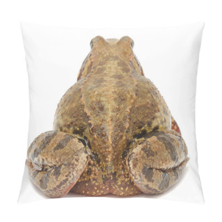 Personality  Toad (Back View) Pillow Covers