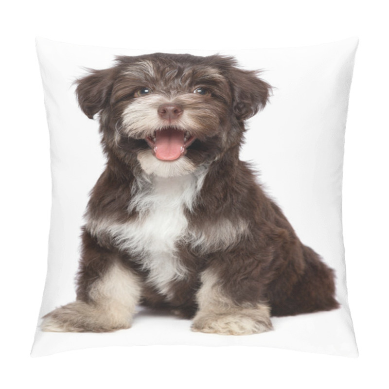 Personality  Funny laughing chocholate havanese puppy dog pillow covers