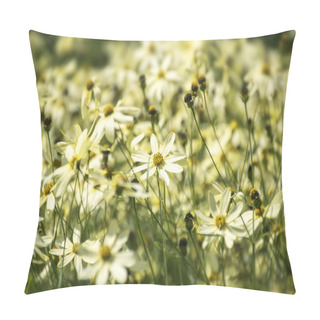 Personality  Tickseed Or Coreopsis Verticillata Or Moonbeam With Bright Yello Pillow Covers