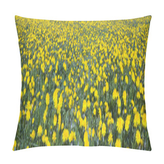 Personality  Dandelions Field On The Lawn Pillow Covers
