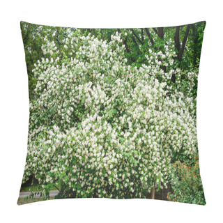 Personality  Fresh Delicate White Flowers And Green Leaves Of Philadelphus Coronarius Ornamental Perennial Plant, Known As Sweet Mock Orange Or English Dogwood, In A Garden In A Sunny Summer Day, Beautiful Outdoor Pillow Covers