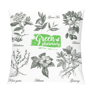Personality  Drawings Of Herbs Green Pharmacy. Pillow Covers