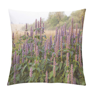 Personality  Anise Hyssop Pillow Covers