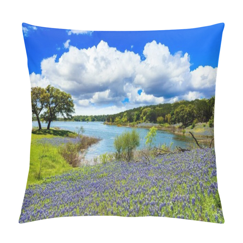 Personality  Texas Hill Country pillow covers