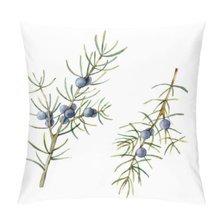 Personality  Watercolor Juniper Set. Hand Painted Evergreen Branch With Berries Isolated On White Background. Floral Illustration For Design, Print, Fabric Or Background. Botanical Set. Pillow Covers
