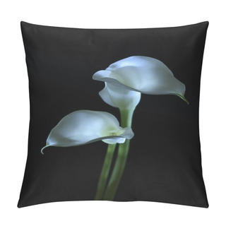 Personality  Beautiful Calla Lily Flower Isolated On Black  Pillow Covers
