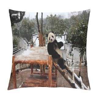 Personality  A Giant Panda Has Fun On A Wooden Stand In The Snow At Huangshan Panda Ecological Paradise In Xiuning County, Huangshan City, East China's Anhui Province, 22 January 2016. Pillow Covers