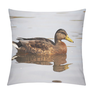 Personality  Duck On The Lake Pillow Covers