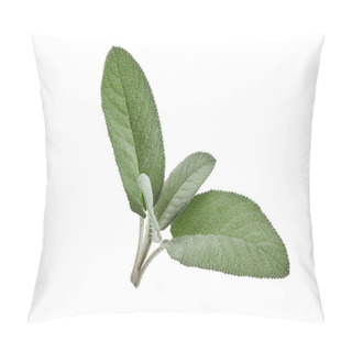 Personality  Fresh Green Twig Of Sage Isolated On White Background. Close Up, Copy Space, Side View Pillow Covers
