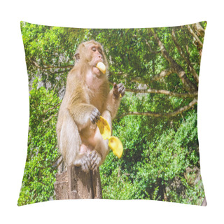 Personality  Monkey Eating Bananas In Jungle Pillow Covers