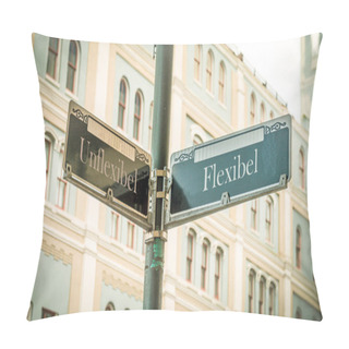 Personality  An Image With A Signpost Pointing In Two Different Directions In German. One Direction Points To Flexible, The Other Points To Inflexible. Pillow Covers