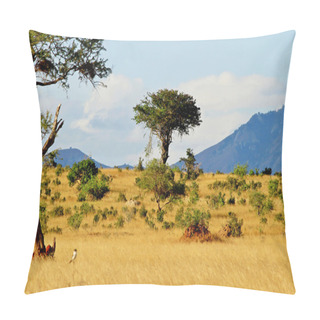 Personality  African Savannah Landscape Pillow Covers