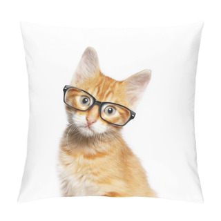 Personality  Red Cat In Glasses Pillow Covers