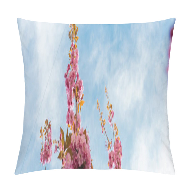Personality  Bottom View Of Pink Flowers On Branches Of Sakura Tree, Banner Pillow Covers