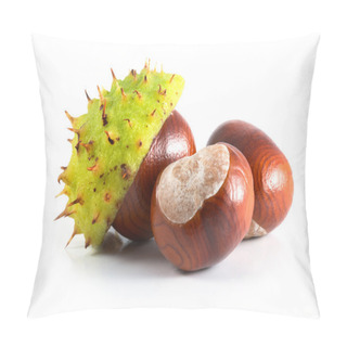 Personality  Chestnut Pillow Covers