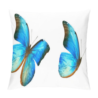Personality  Color Butterflies , Isolated On White Background Pillow Covers
