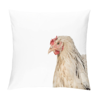 Personality  Close-up View Of Beautiful White Hen Isolated On White  Pillow Covers