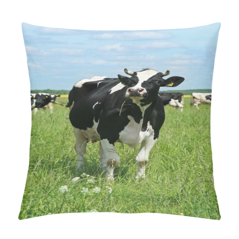 Personality  Cows on green grass pasture pillow covers