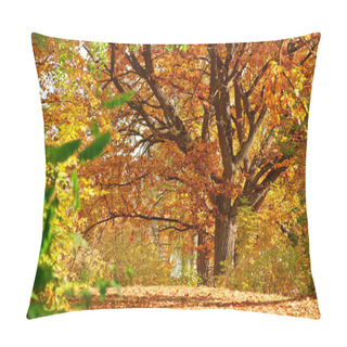 Personality  Autumn Landscape Pillow Covers