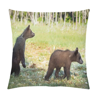 Personality  Cubs Of Brown Bear Pillow Covers