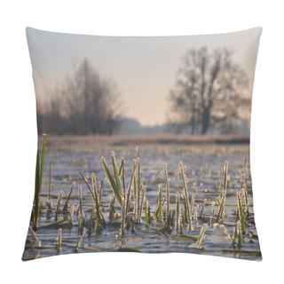 Personality  Rimed Grass Pillow Covers