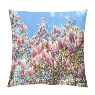 Personality  Magnolia Pink Blossom Tree Flowers, Close Up Branch, Outdoor Pillow Covers