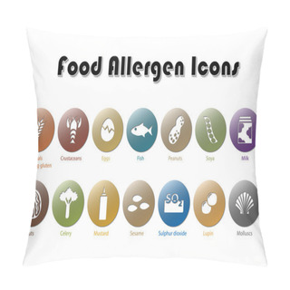 Personality  Food Allergen Icons Pillow Covers