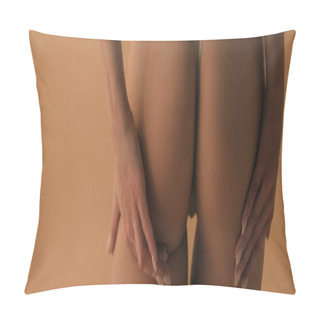 Personality  Panoramic Shot Of Sexy Woman In Panties Touching Buttocks Isolated On Beige Pillow Covers