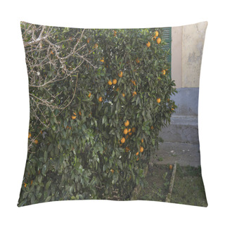 Personality  Close-up Of Orange Tree Branches, Citrus Sinensis, Full Of Oranges On A Sunny Day. Island Of Mallorca, Spain Pillow Covers