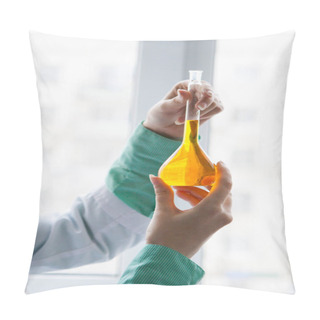 Personality  Girl Lab Technician Mixes Various Liquids In Flasks In A Laboratory Pillow Covers