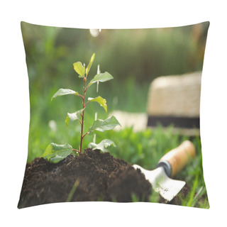 Personality  Watering Seedling In Fresh Soil Outdoors, Closeup. Planting Tree Pillow Covers