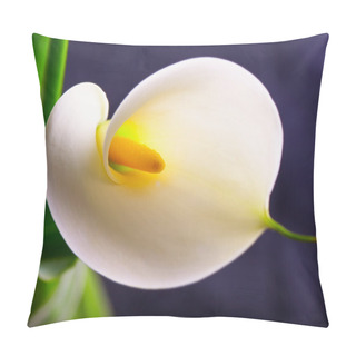 Personality  Calla Pillow Covers