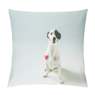 Personality  Cute Jack Russell Terrier Dog In Red Hearts, On White Pillow Covers