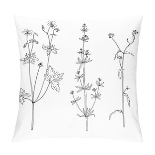 Personality  Set Of Ink Drawing Herbs And Flowers Pillow Covers