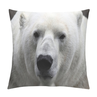 Personality  Polar Bear Pillow Covers